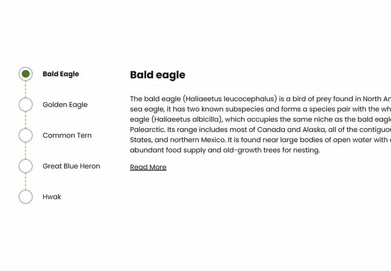 Create a JavaScript tab component with an adaptive stepper UI