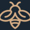 How to create an animated Lottie logo