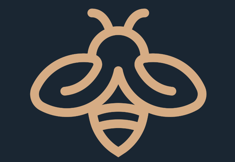 How to create an animated Lottie logo