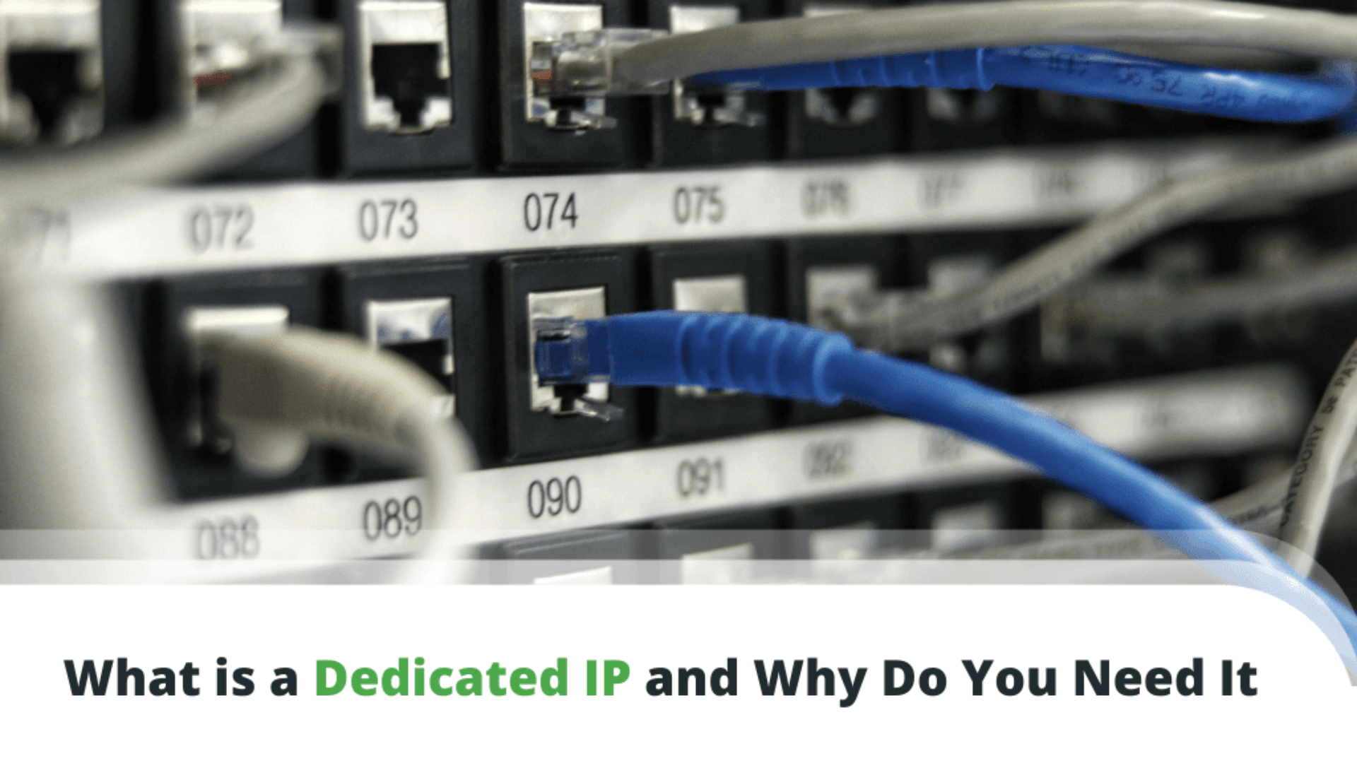 What is a Dedicated IP? When Do You Need One?