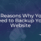 Why You Need to Backup Your Website