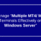 Run Multiple MT4/MT5 Terminals on Single Windows