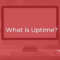 What is Uptime | InMotion Hosting